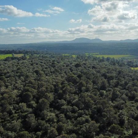 Magnifica Villa Tranquila En El Centro De Mallorca Biniali  Экстерьер фото
